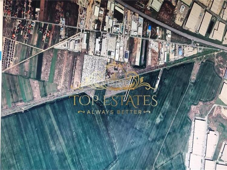 Vanzare teren intravilan zona industriala 5000 mp - Chiajna A1, Ilfov - 3