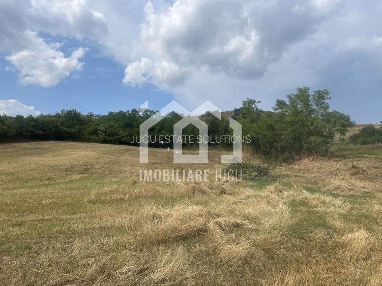 Teren Intravilan Constructrii 2258mp - Gadalin - 2