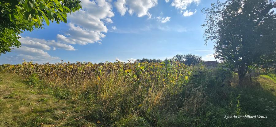 Teren cu suprafata de 3200mp la strada in Manastirea Doamnei