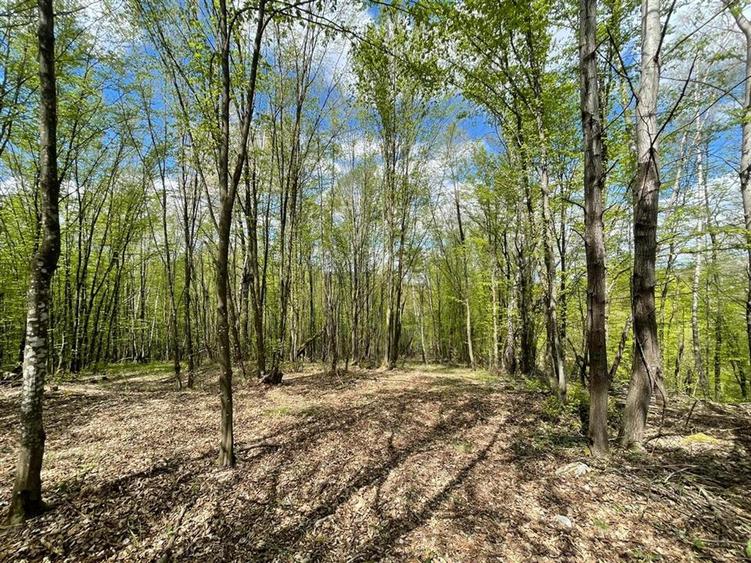 TEREN EXTRAVILAN | 103.000mp | BALANACA-GROSI | PASUNE | PASUNE IMPADURITA | BIH