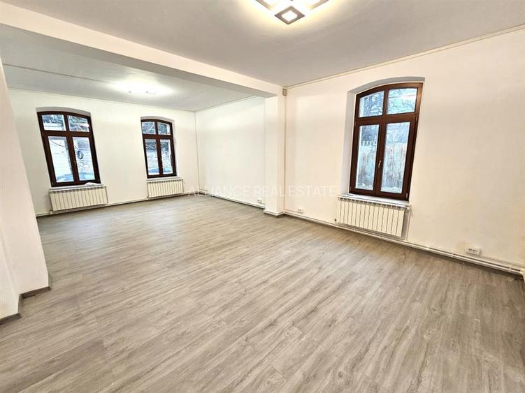 Pietonal Stefan cel Mare, spatiu pentru servicii - 4