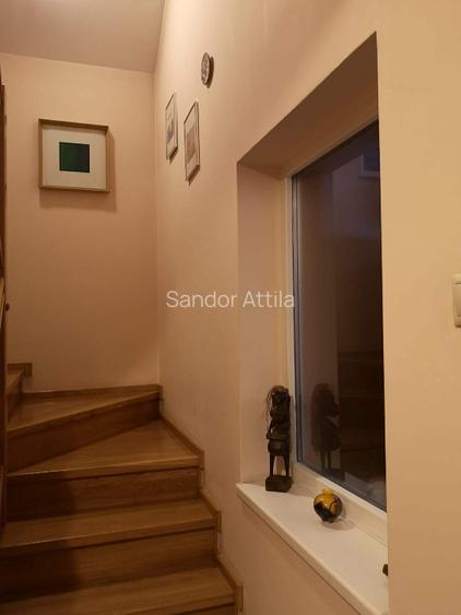 Proprietate exclusivista cu design rafinat si facilitati premium—Sfantu Gheorghe - 9