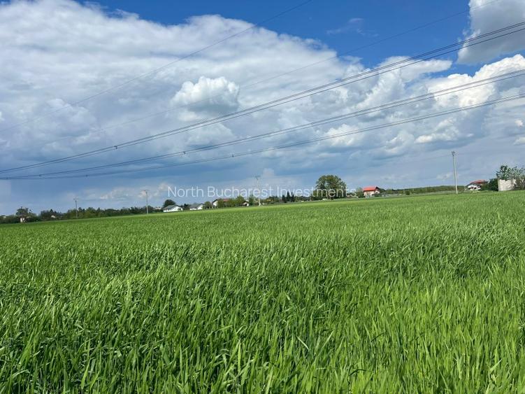 TEREN - CALARASI/ILFOV - 3