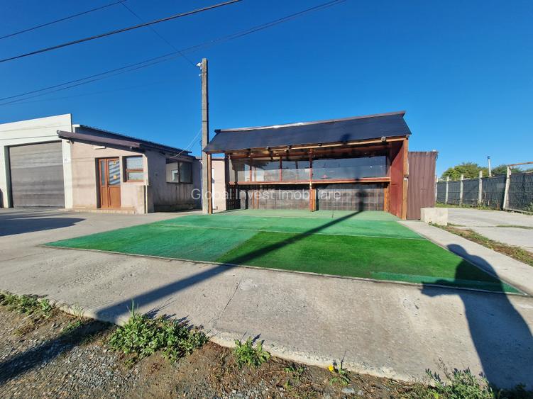 Nicolae Balcescu-Hala 160mp+ dependinte racordata la utilitati, cu teren 1300mp, - 2