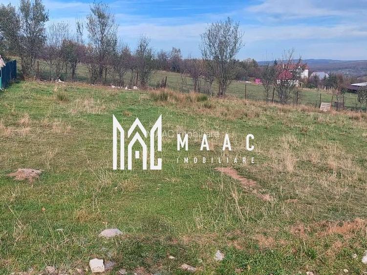 Teren intravilan I 1000 mp I  Tocile - Sadu - 4