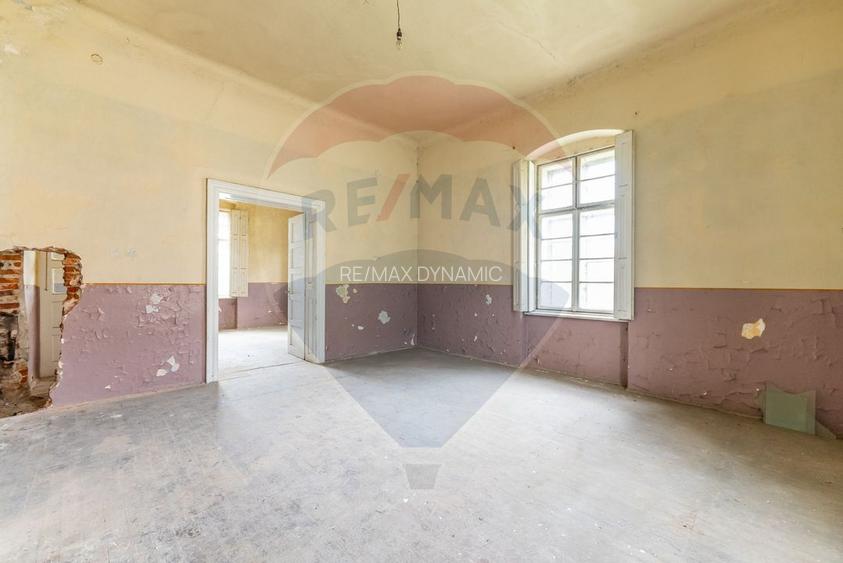 Conac aristocratic secolul XIX , domeniu  2,5 hectare — Păuliș, Arad - 12
