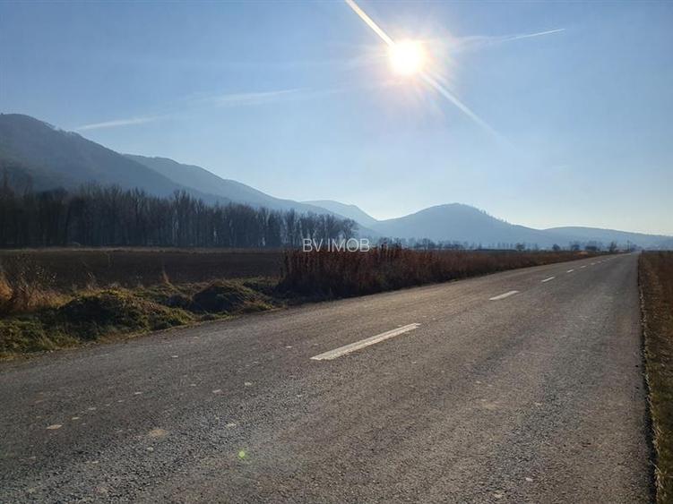 Vanzare Teren intravilan Str. Cucului, zona Bartolomeu 18600 mp - 15