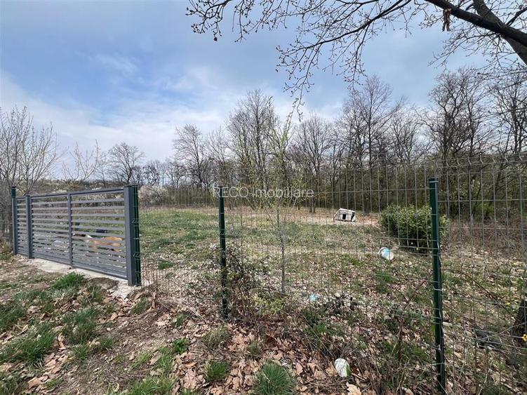 RECO Teren Saldabagiu de Munte - 3