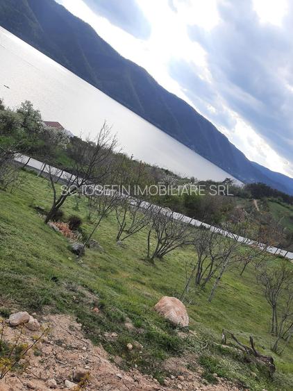 Svinita, teren la Dunare - 2