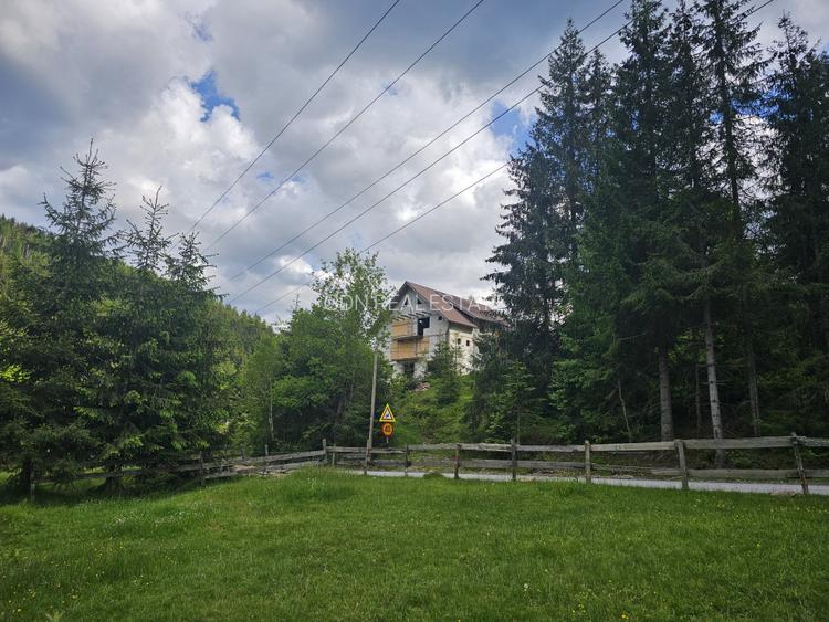 Casa de vacanta + teren intravilan suprafata 2.075mp, Bubesti, Arieseni - 8