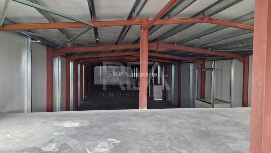 Hala 970 m.p. + 200m.p. Birouri | Temperatura controlata | Pallady/Oxigenului - 4