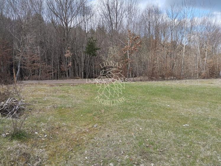 Teren 3700 mp - vedere panoramic - Zona Str. Ghinzii - 2