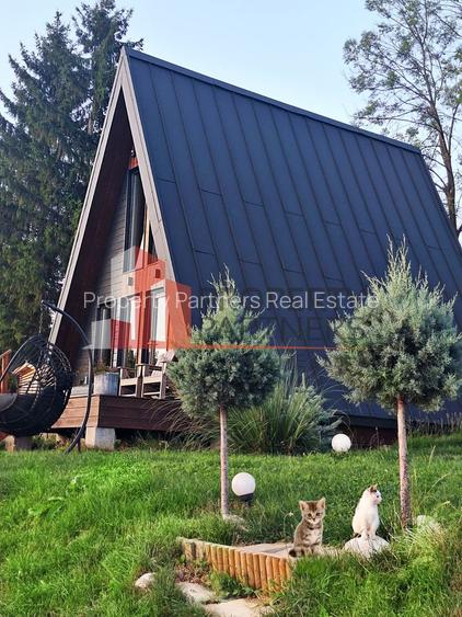 2  A-Frame | Bran Sohodol| 2 cabane | Teren 3.812 mp | Operațional | - 3