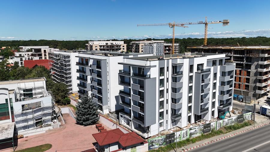 0fed38e9-8570-4736-8492-fc20a430fbff - 2