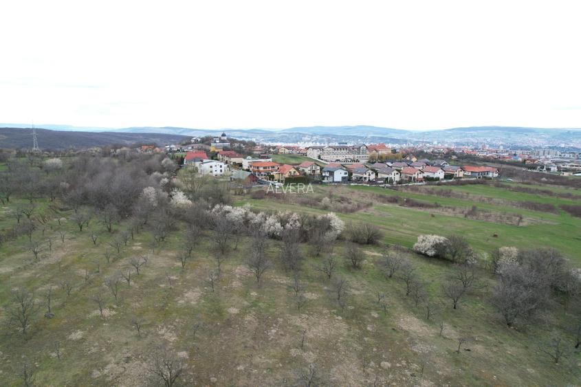 Teren cu PUZ aprobat pe str. Dianei - 6