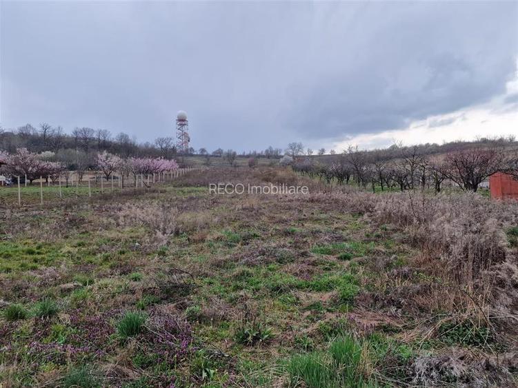 Teren intravilan in Oncea, str. Prunilor - 3