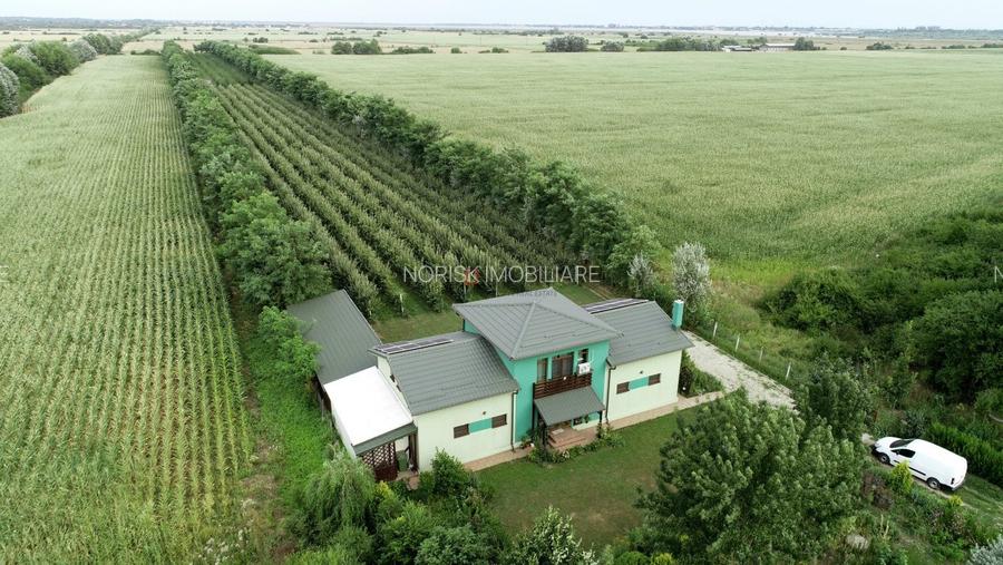 Vila + Afacere 15.000mp Clinceni - 3