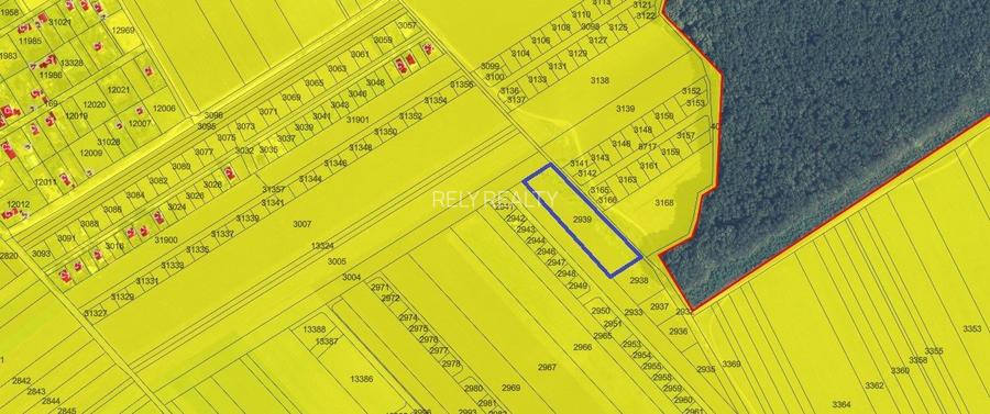 Vanzare teren Frumusani, 7.961 mp, D: 175 m, langa padure - 4