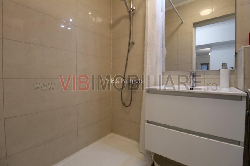 Decebal-Piata Alba Iulia-vedere bulevard-studio complet renovat - 12