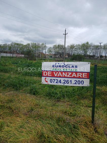 SUPER OFERTA --Teren intravilan - Palazu Mare-ELVILA -160.000 euro (COD E6) - 8