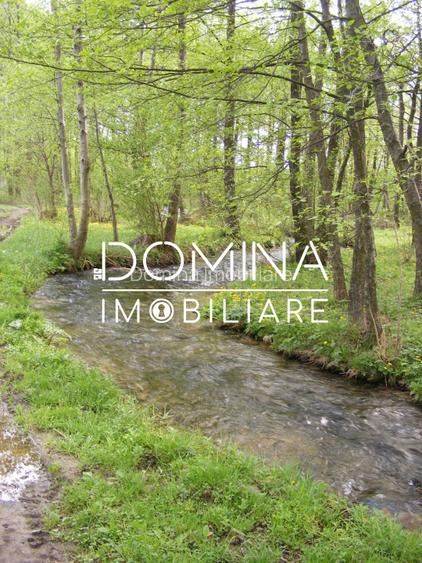 Inchiriere loturi de teren in Comuna Runcu – sat Sanatesti - 9