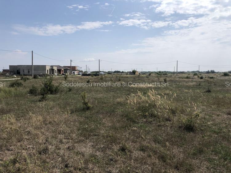 Teren Mosnita Noua, zona Albina - 4