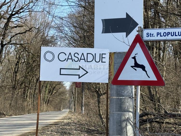 Ciolpani Padurea Snagov - zona Orangerie, Mega Image, Penny - 8