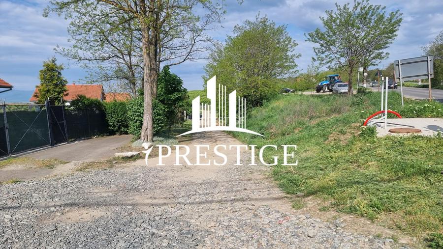TEREN  EXTRAVILAN 2000 MP ÎN DAIA - BAVARIA | DEALUL 2 | DOAR 15€/MP - 33