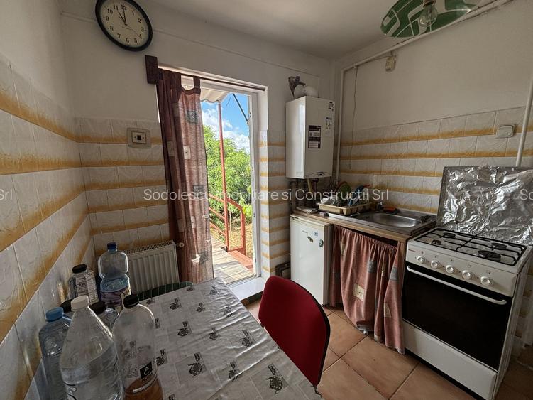 Casa cu 2 apartamente zona Mehala - 10