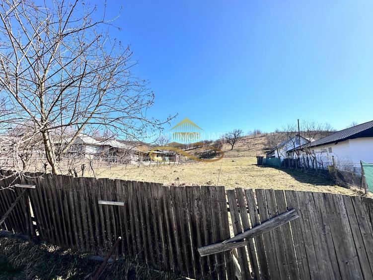 Teren Intravilan Luncani Bacau - 4