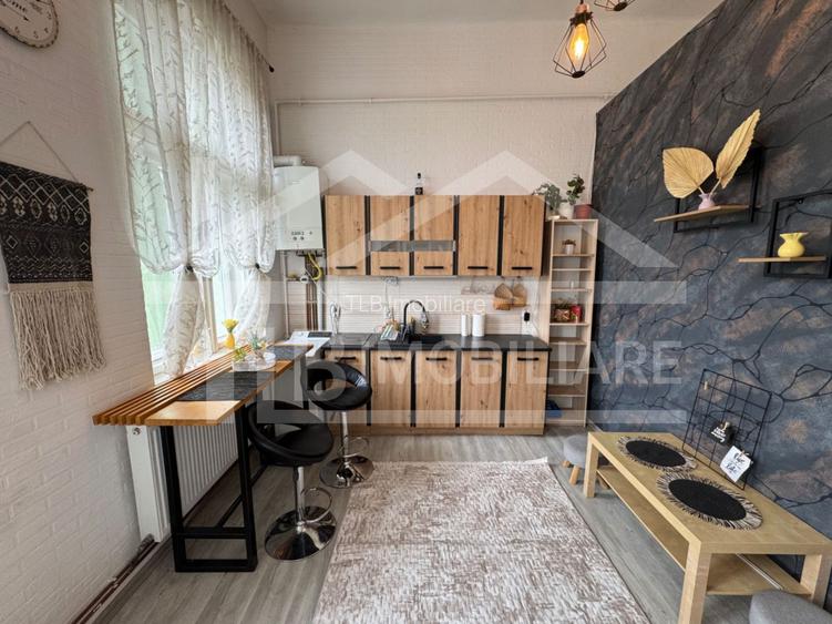 Apartament cu o cameră, 50mp, Zona Ultracentral - 7