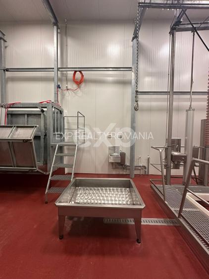 Ferma cu abator autorizat | Singureni Giurgiu - 9