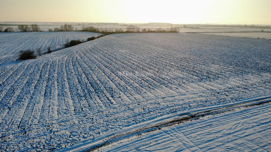 Calea Sagului-INCONTRO- teren potential industrial- 17800mp - 6