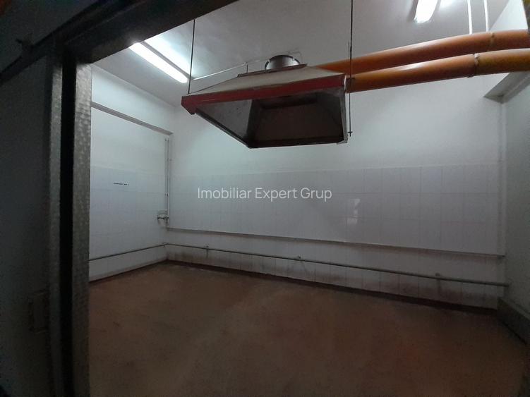 Hala 343 mp ideala industria alimentara, depozitare - 9