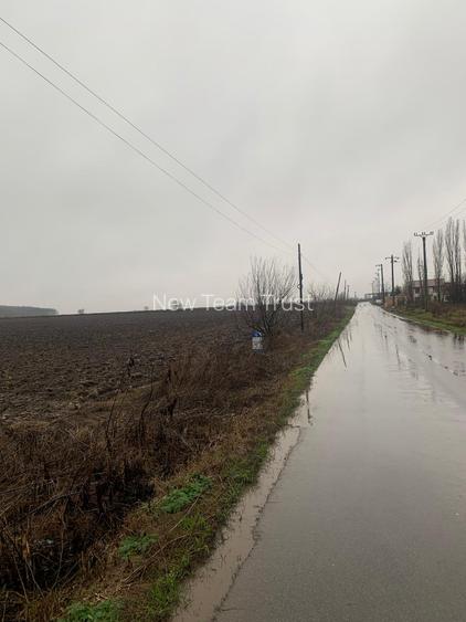 Afumati  Vanzare Suprafata 12,8 Hectare -Petrechioaia 35 000mp- Cernica 25400mp - 9