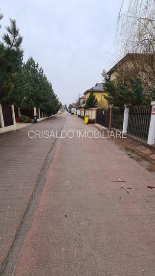 Vila deosebita Iancu Nicolae - British School - 4