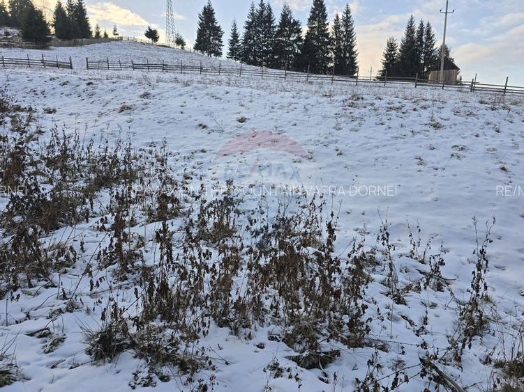 Teren 2,833mp Vatra Dornei / None - 5