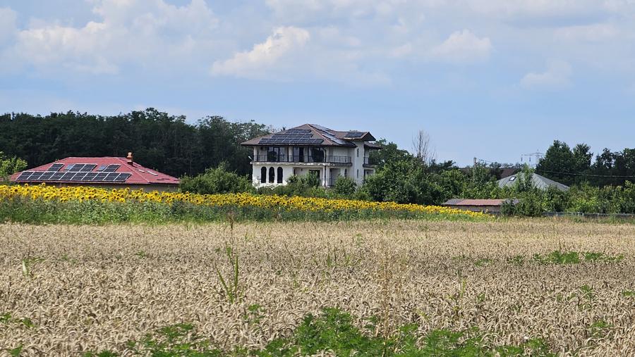 Teren Gulia Tartasesti, padurea Raioasa, investitie premium