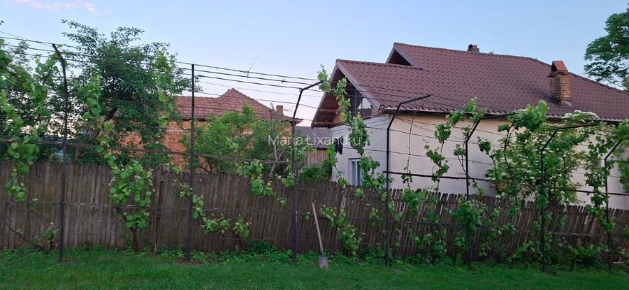 Casă P+E cu teren 1.997 mp, livadă și vie – Coșești, Argeș | 175.000 € - 5