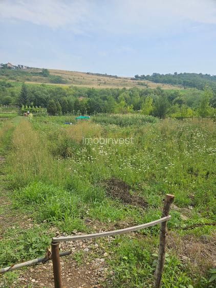 Vand teren intravilan,strada Budiului, 2 parcele,   total 5000 mp,neconstruibil. - 2