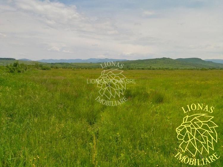 Teren 13100 mp-parcelabil-ideal cabana/agricultura-Orheiul Bistritei - 3