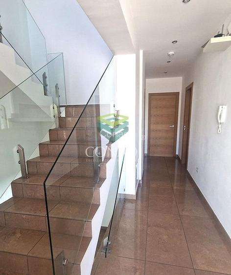 Iancu Nicolae, vila de inchiriat, 5 camere - 12