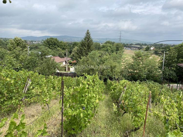 Teren 1000mp(impartit in 2 loturi) deschidere 28m Blejoi,vedere superba - 3