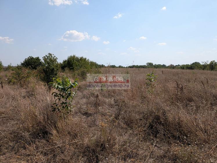Teren de Vanzare Comuna Ciocanesti Jud Dambovita, 17.7 km de Bucuresti - 2