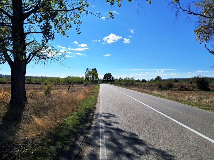 TEREN INTRAVILAN ȘI EXTRAVILAN BAIA DE FIER - 8