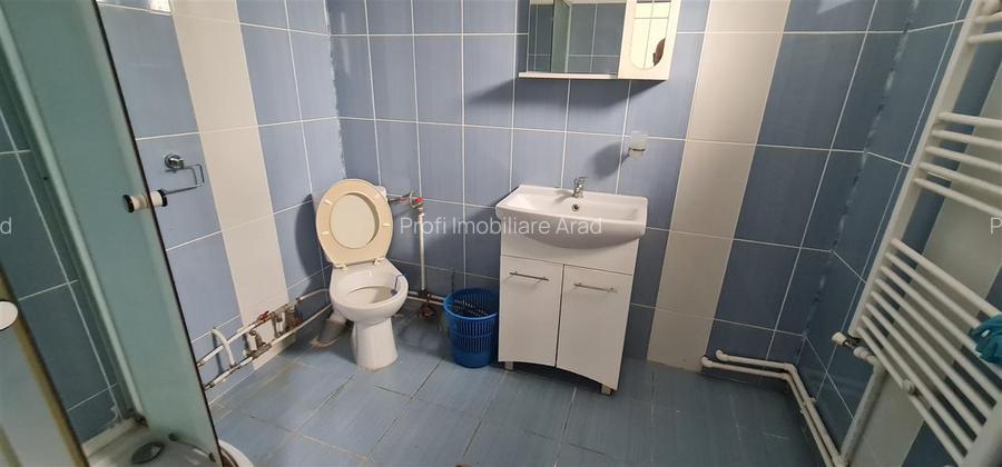 Cazare muncitori garsoniere/apartamente la curte in Vladimirescu - 10