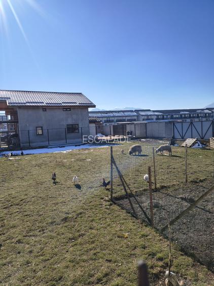 De vanzare 500 mp teren intravilan, Cartier Izvor, Tarlungeni, Brasov - 6