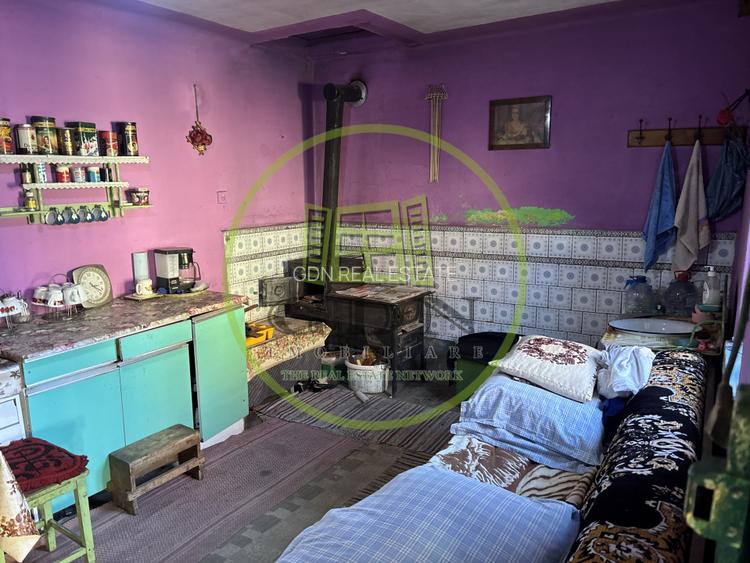 Casa saseasca + 3000mp teren  sat Nou - 8