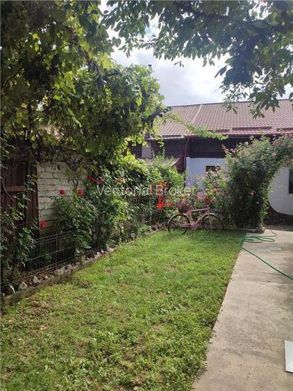 Inchiriere casa individuala 3 camere si curte generoasa Chitila - 17