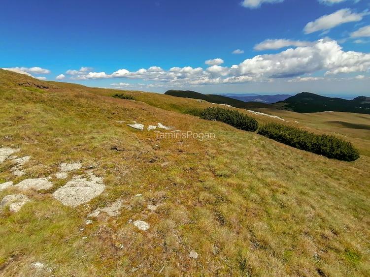 terenuri in Bucegi, Zona Alpina Inalta, pentru dezvoltare cabane, vile turistice - 10